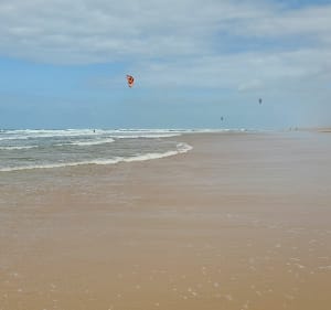 Boucle de Lacanau Océan jusqu'aux plages Sud et du Lion - Lacanau - 5