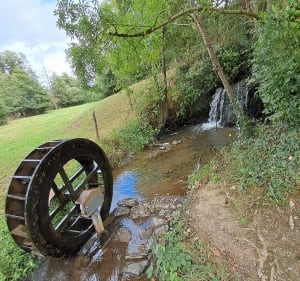 Saint-Quentin-en-Mauges et le Moulin Neuf - Montrevault-sur-Èvre - 2