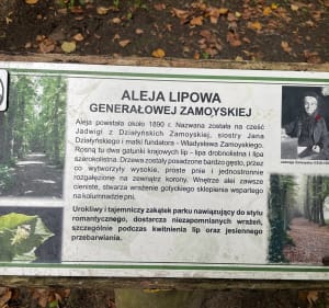 Alejkami Arboretum w Kórniku - Kórnik - 2