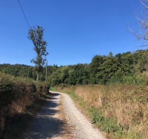Boucle champêtre depuis  Rouvrou - Ménil-Hubert-sur-Orne - 2