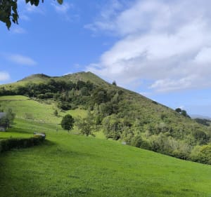 Bagnères de Bigorre col de Saoucède, Lingous, Croix Blanche - Bagnères-de-Bigorre - 2