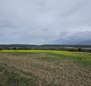 Manoir de Blangy, par les Cailloins - Blangy-sur-Bresle - 2