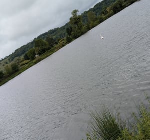 Sortie paisible entre rivière, étangs et campagne à Charmes - Essegney - 2