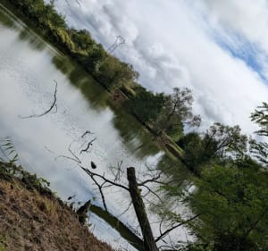 Sortie paisible entre rivière, étangs et campagne à Charmes - Essegney - 3
