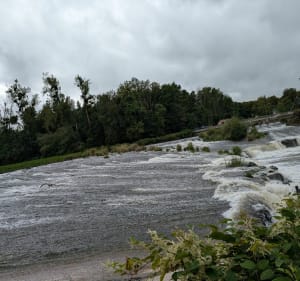 Sortie paisible entre rivière, étangs et campagne à Charmes - Essegney - 5
