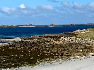 Petit tour de Pen Enez - Michel - 6