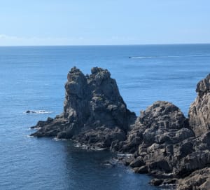 Vers la Pointe du Raz et ses paysages sans fins - Laurence - 4