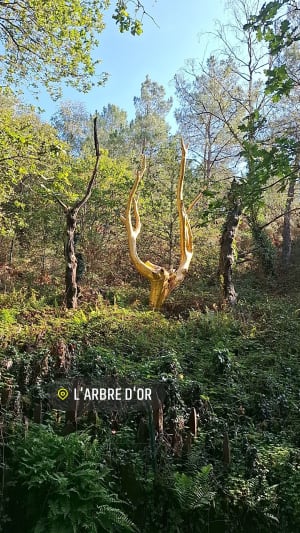 Jusqu'aux confins du Val sans Retour (Brocéliande) - Fabienne - 7