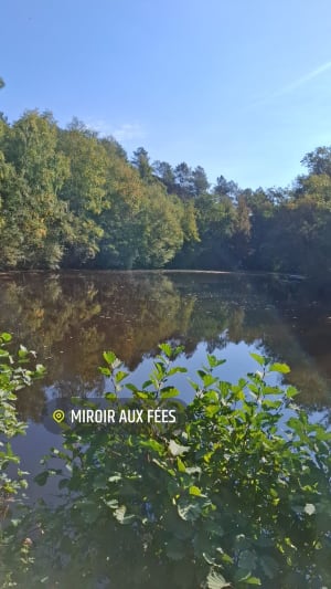 Jusqu'aux confins du Val sans Retour (Brocéliande) - Fabienne - 10