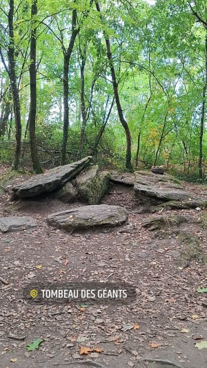 Jusqu'aux confins du Val sans Retour (Brocéliande) - Fabienne - 6