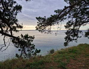 Balade au Petit Mont dans le Morbihan - Elise - 6