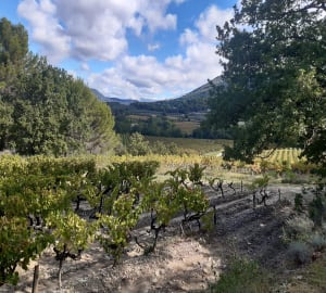 Rando autour de Mirabel aux Baronnies - Mirabel-aux-Baronnies - 2