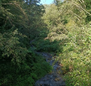 Balade au départ de Prats-de-Mollo-la-Preste - Nathalie - 5