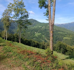 Balade au départ de Prats-de-Mollo-la-Preste - Nathalie - 2