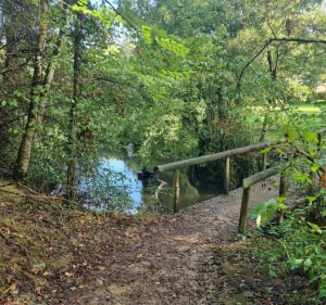 Chaille sous les Ormeaux, par la Blinière - Rives de l'Yon - 2