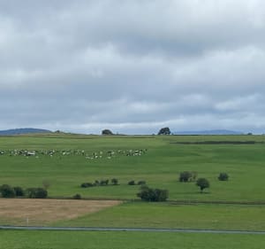 Randonnée Puy de l’Enfer - Aydat - 2
