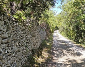 Randonnée entre Pernes et La Roque sur Pernes - NATHALIE - 6