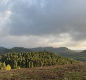 Puy de Combegrasse, Puy Charmont et Puy de la Toupe - Aydat - 2
