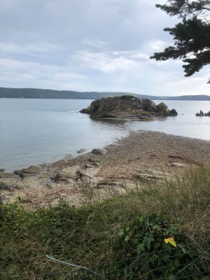 Pointe de l'Armorique et dépaysement entre ports et plages - Véronique - 3