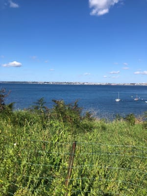 Pointe de l'Armorique et dépaysement entre ports et plages - Véronique - 4