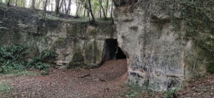 Balade sur les hauts de Bucy - Delphine  - 7