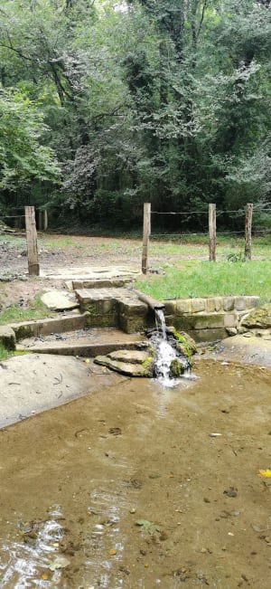 Balade sur les hauts de Bucy - Delphine  - 8