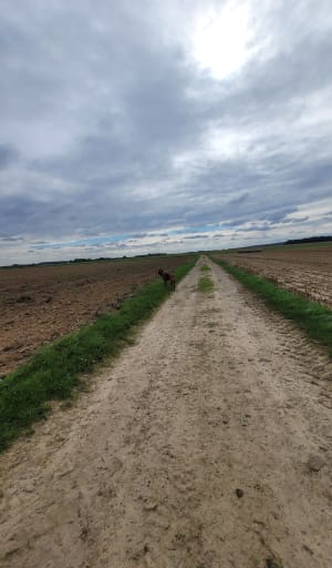 Campagne alciaquoise - Delphine - 4