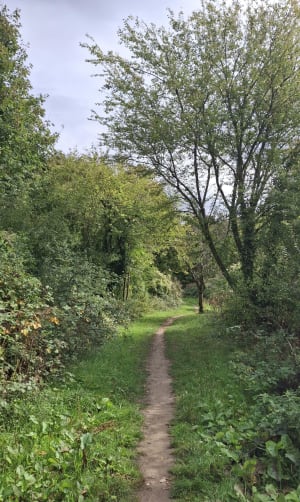 Boucle entre Bonsecours et Amfreville - Bernadette - 9