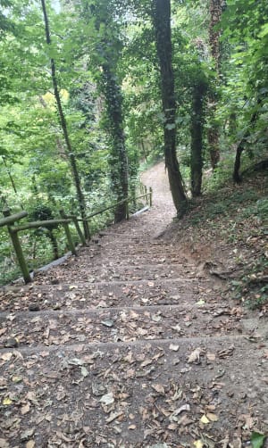 Boucle entre Bonsecours et Amfreville - Bernadette - 11