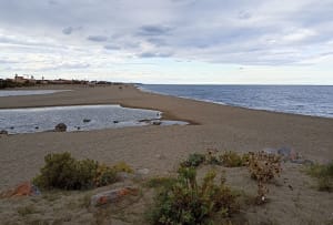 Ste Marie Torreilles par le front de mer, Agly et Bourdigou - FLORENCE - 6