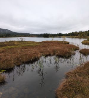 Tour des lacs à Chapelle-des-bois - Leto - 6