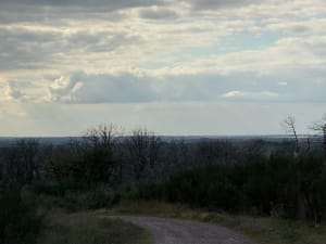 Sortie cool à l'orée de la forêt de Paimpont et château hanté - Benjamin - 4