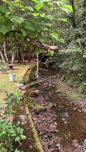 Moulin de Lavergne - Lison - 4