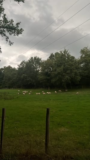 Moulin de Lavergne - Lison - 5