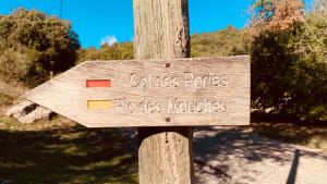 Pic des Mouches depuis le Col des Portes - Bruno - 10