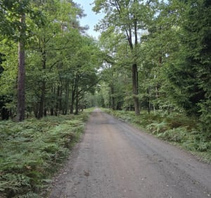 Beskidzka walk - Katowice - 2