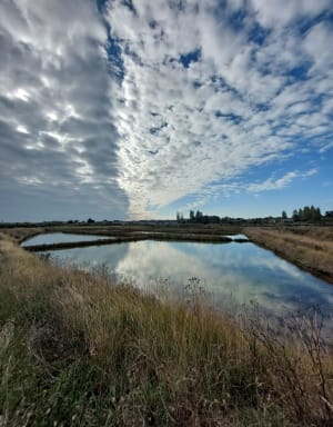 Balade dans les marais de Batz sur Mer - Brigitte - 2