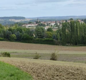 Circuit des Gravières à Saint-Séverin - Saint-Séverin - 3