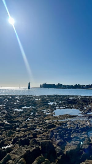 Tour l'île Tudy - Île-Tudy - 8