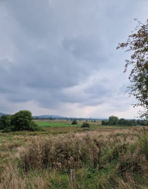 Balade entre champs et Marais à Canapville - Cédric - 9