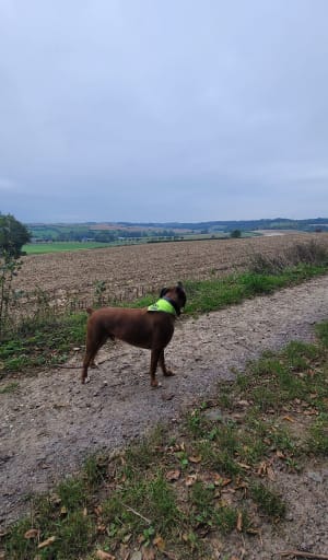 Entre les monts d'Eps et d'Herbeval - Delphine - 6