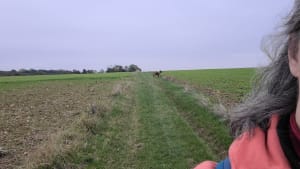 Entre les monts d'Eps et d'Herbeval - Delphine - 7