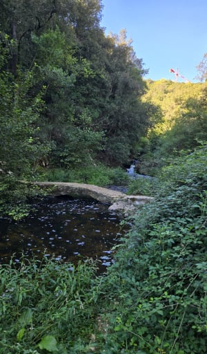 De Valbonne à Biot par le sentier de la Brague. - PHILIPPE - 3