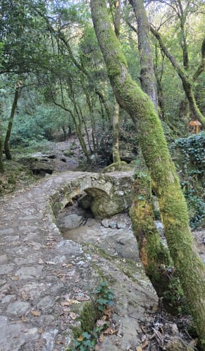 De Valbonne à Biot par le sentier de la Brague. - PHILIPPE - 5