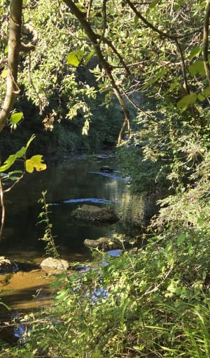 De Valbonne à Biot par le sentier de la Brague. - PHILIPPE - 4