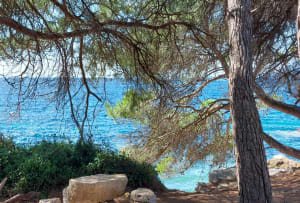 Boucle complète autour de l'île de Sainte Marguerite - Cannes - 6