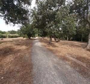 Boucle de la Bouverie, et Palayson - Roquebrune-sur-Argens - 3