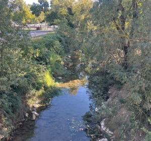 Balade dans les vignes et entre les prés à Mas du Pont - Ludivine - 3