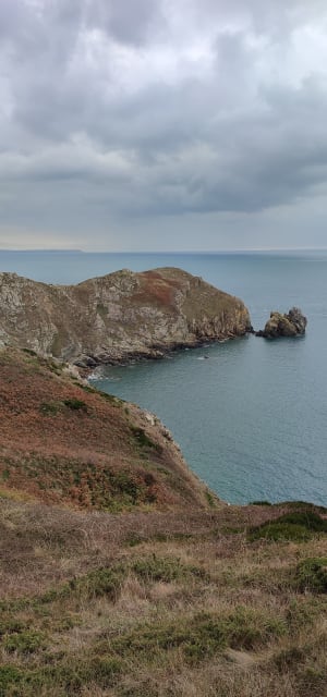 Nez de Jobourg, falaises et bocages normands - DOMINIQUE - 8