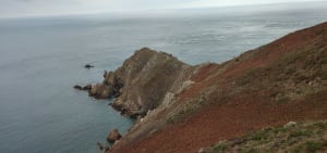 Nez de Jobourg, falaises et bocages normands - DOMINIQUE - 9